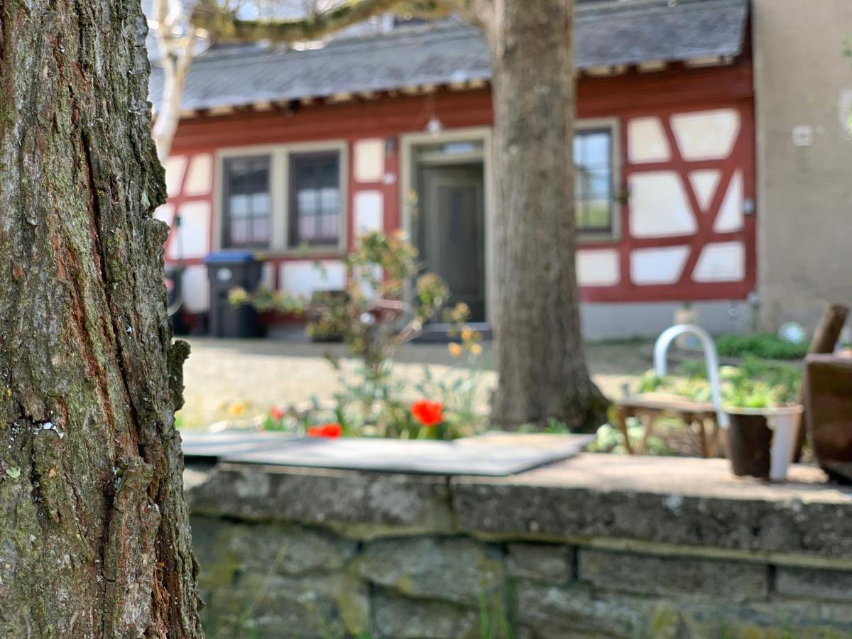 Altes Zehnthaus Geierlay Hotel Mittelstrimmig Exterior photo