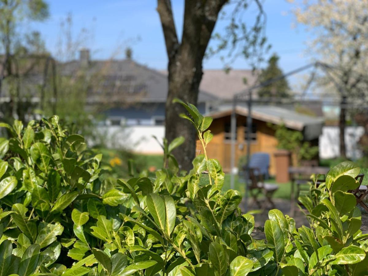 Altes Zehnthaus Geierlay Hotel Mittelstrimmig Exterior photo